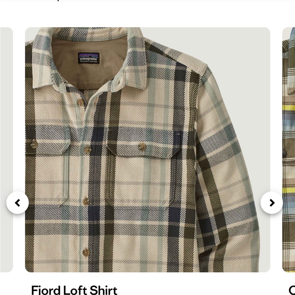 Patagonia Men's Fjord Loft Shirt